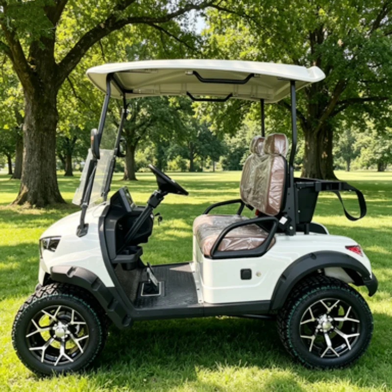 OEM Electric Golf Cart 2 Seat 14 Inch Multimedia Display Golf Club Car Golf Bag Rack And Basket Seat With Headrest 14-Inch Tires
