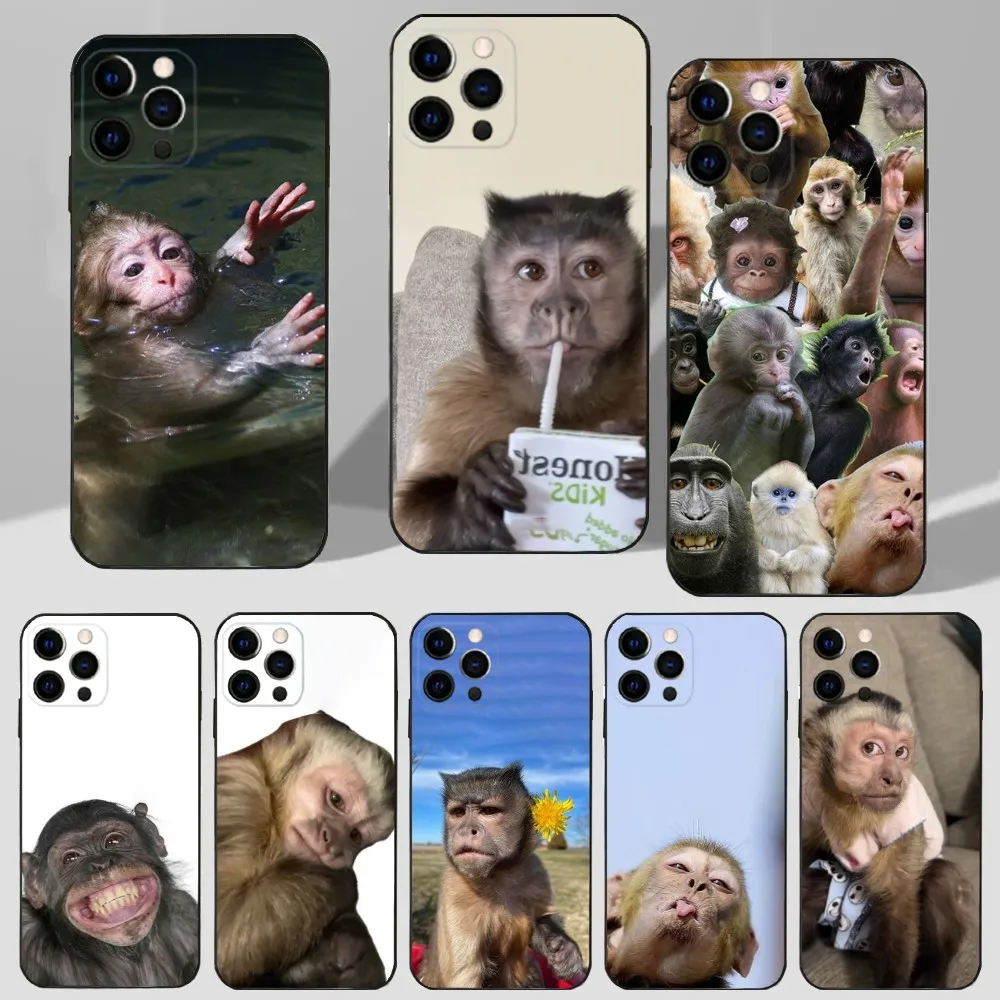 Monkey Sipping Caprisun Phone Case For iPhone 16,15,14,13,12,11 Plus,Pro Max,XS,X,XR,SE,Mini,8,7 Soft Silicone Black Cover