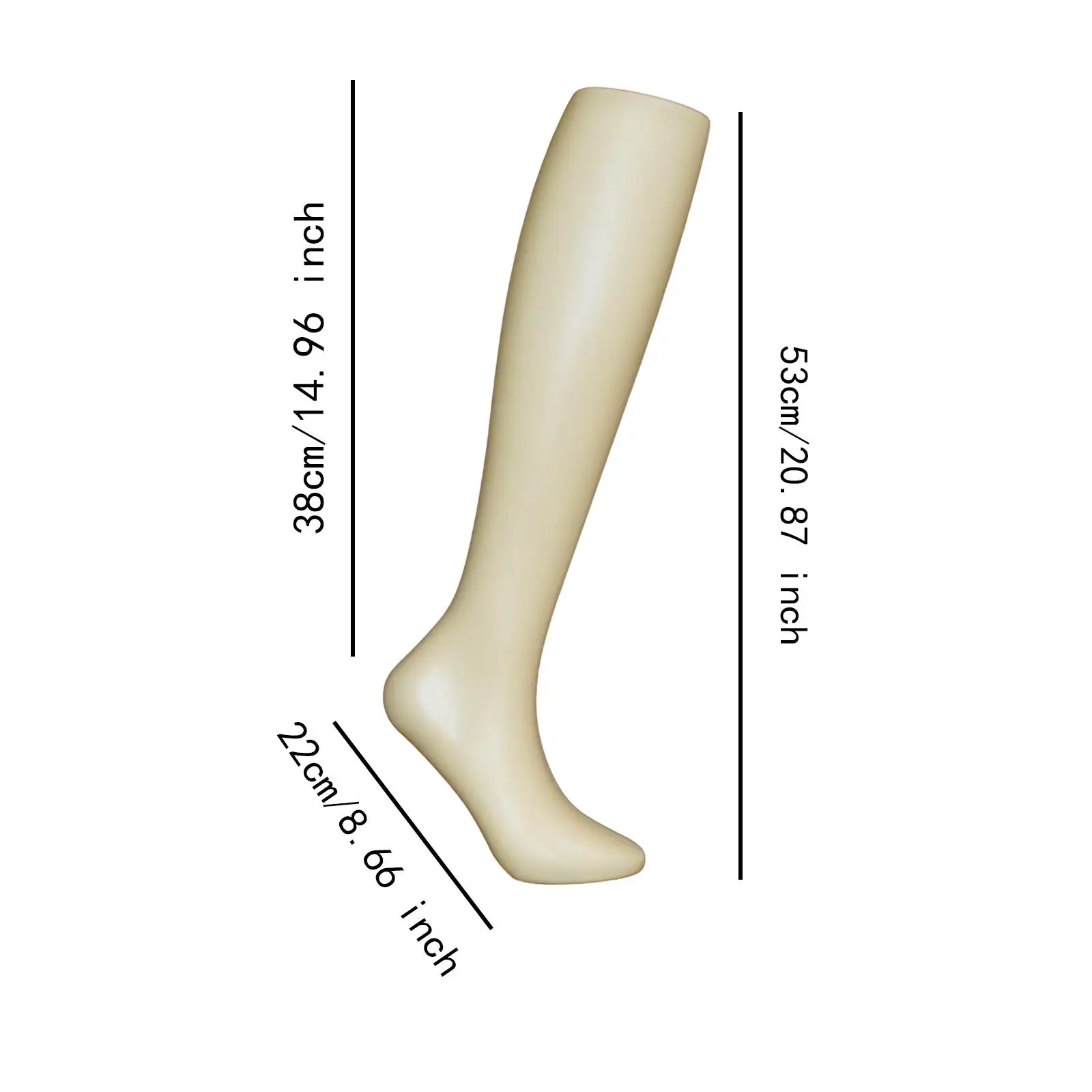 50 cmx19 cmx16 cm Trng Nha Trng Cây Trên BCa SHình ChNhondert 0,15 Kg Trong Nhà e Ngoài Tri