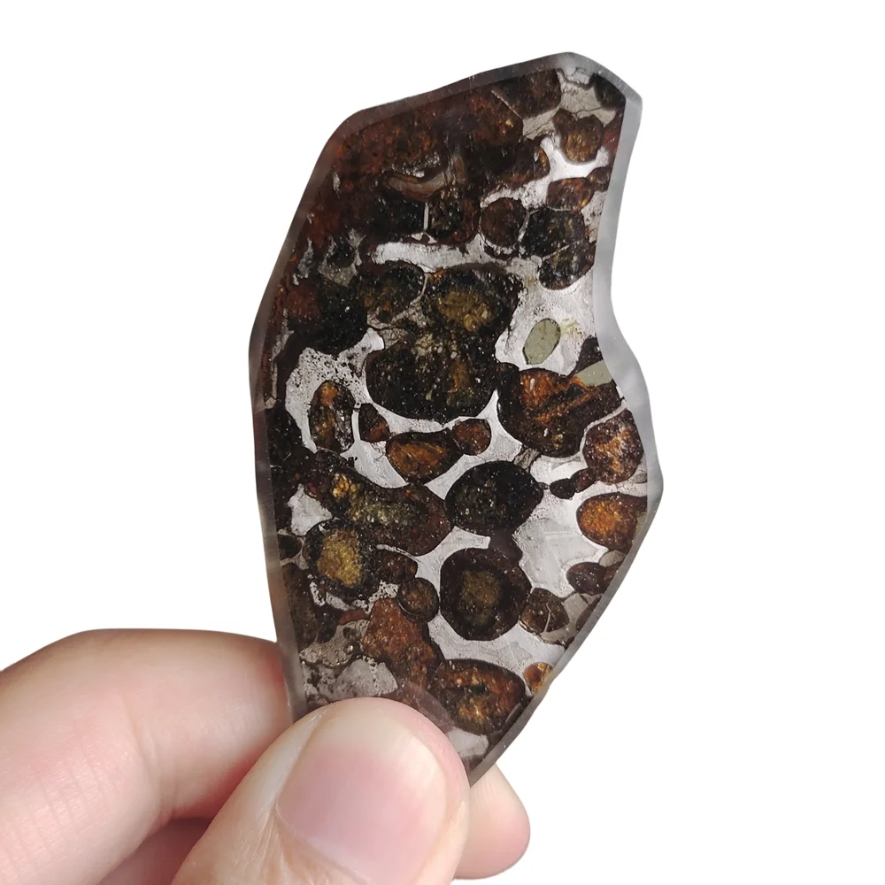 

18.9g SERICHO Pallasite Olive Meteorite Slices Olive Meteorite Specimens Natural Meteorite Material - From Kenya - CA56