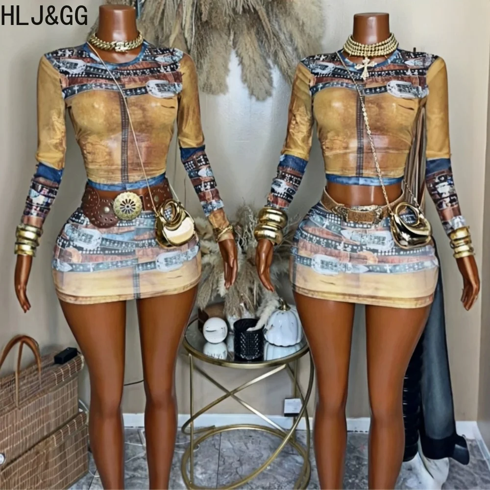 HLJ&GG Fashion Vintage Pattern Print Mesh Two Piece Sets Women Round Neck Long Sleeve Crop Top And Mini Skirt Outfits Streetwear