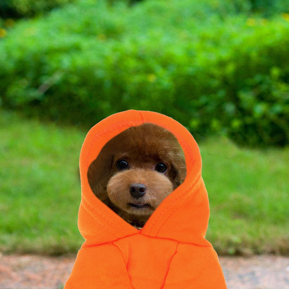 

Pet Warm Hoodie Autumn Winter Dog Clothes Puppy Coat Warm Pocket Outfit Size Xs Orange Pet Hoodie for Winter