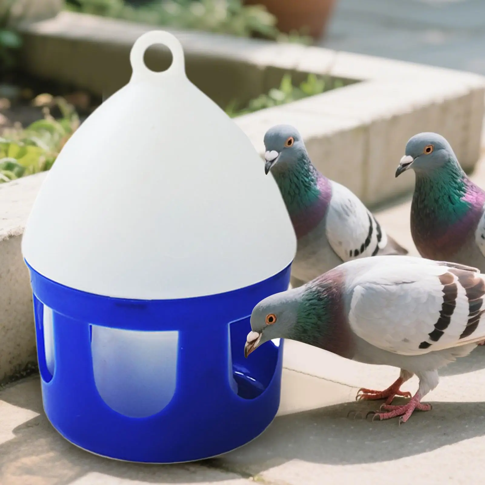 Hervidor para beber palomas de 2L, alimentador de gran capacidad, extraíble, a prueba de derrames, alimentador de palomas para pájaros, dispensador de agua para aves de corral