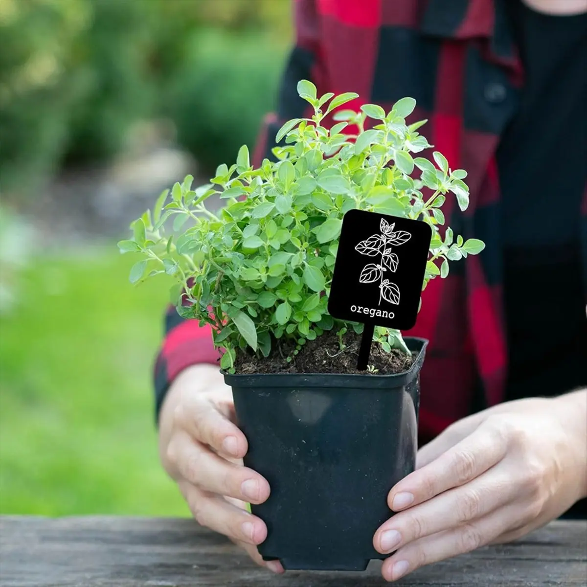 AA14 24Pcs Acrylic Plant Label Signs 12 Styles Garden Markers Plant Stake Tags Black Waterproof Tags with Names