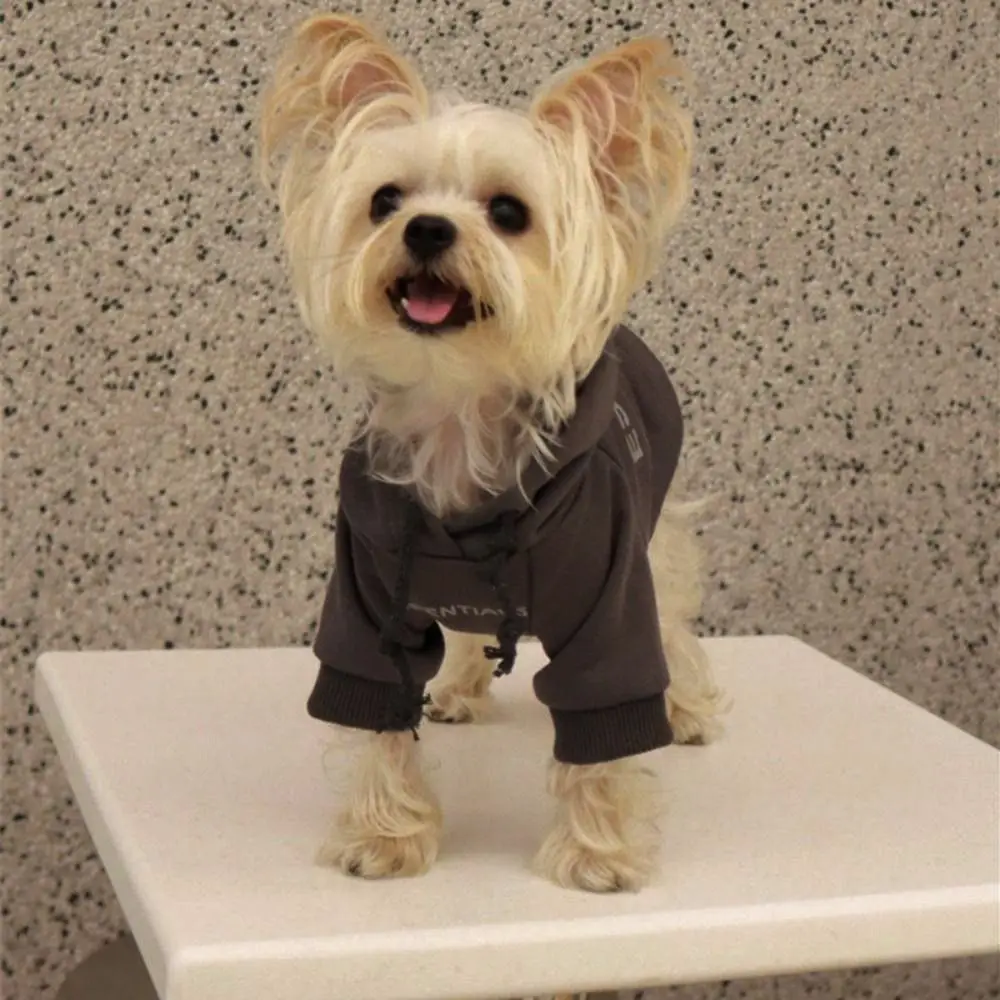 

Polyester/Plush Thickened Warm Dog Sweater Warm Comfortable Dog Hoodie Sweatshirt Soft Two-legged Puppy Coat Outdoor