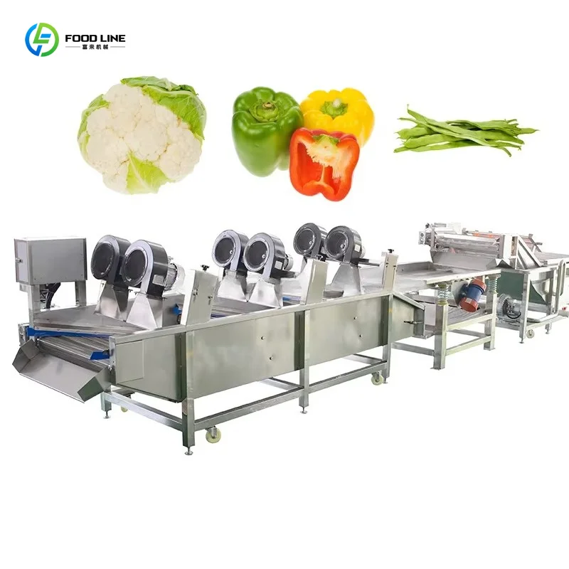 Customized Manufacturer Commercial Fan Dehydration Machine Mango Strawberry Fruit Blow Dryer Equipment