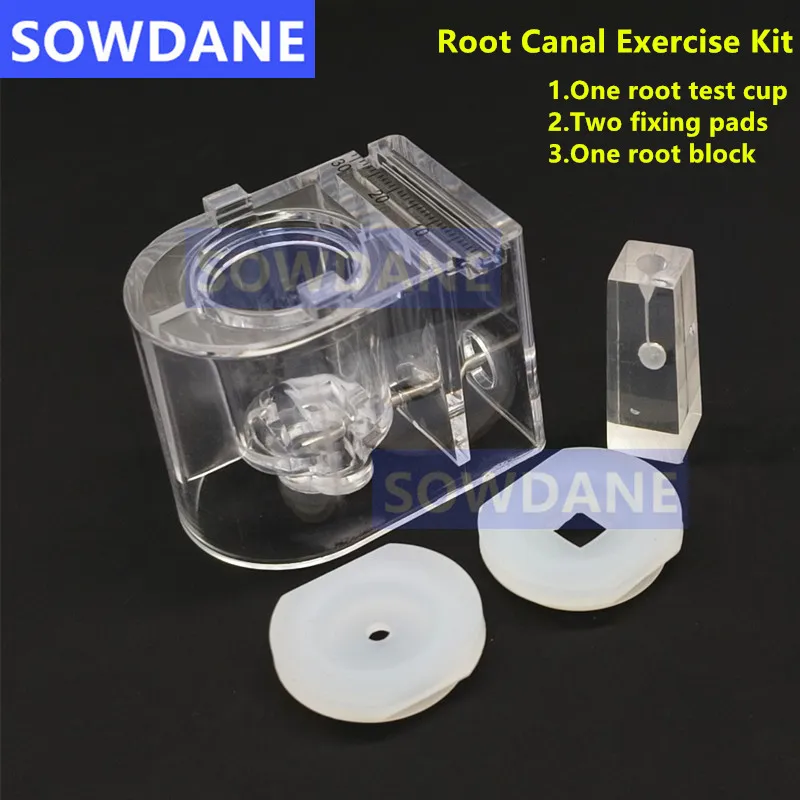 

1 set Dental Teeth Root Canal Training Model Simulation Oral Root Canal Treatment Practice Instrument Fit All Kinds Root Testers