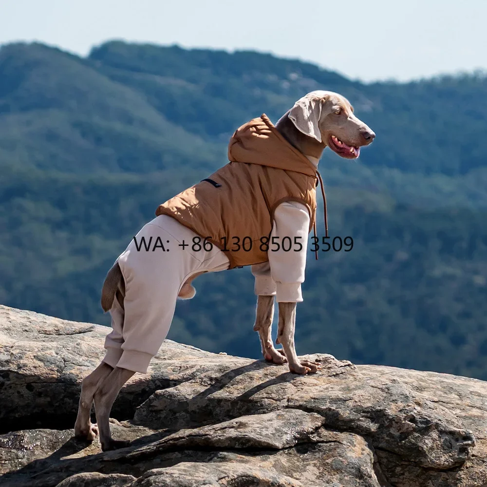 

Custom Greyhound Jacket Dog Outfit Premium Cozy Hooded Onesie Winter Stylish Comfortable Custom Pet Coats for Two-piece Set