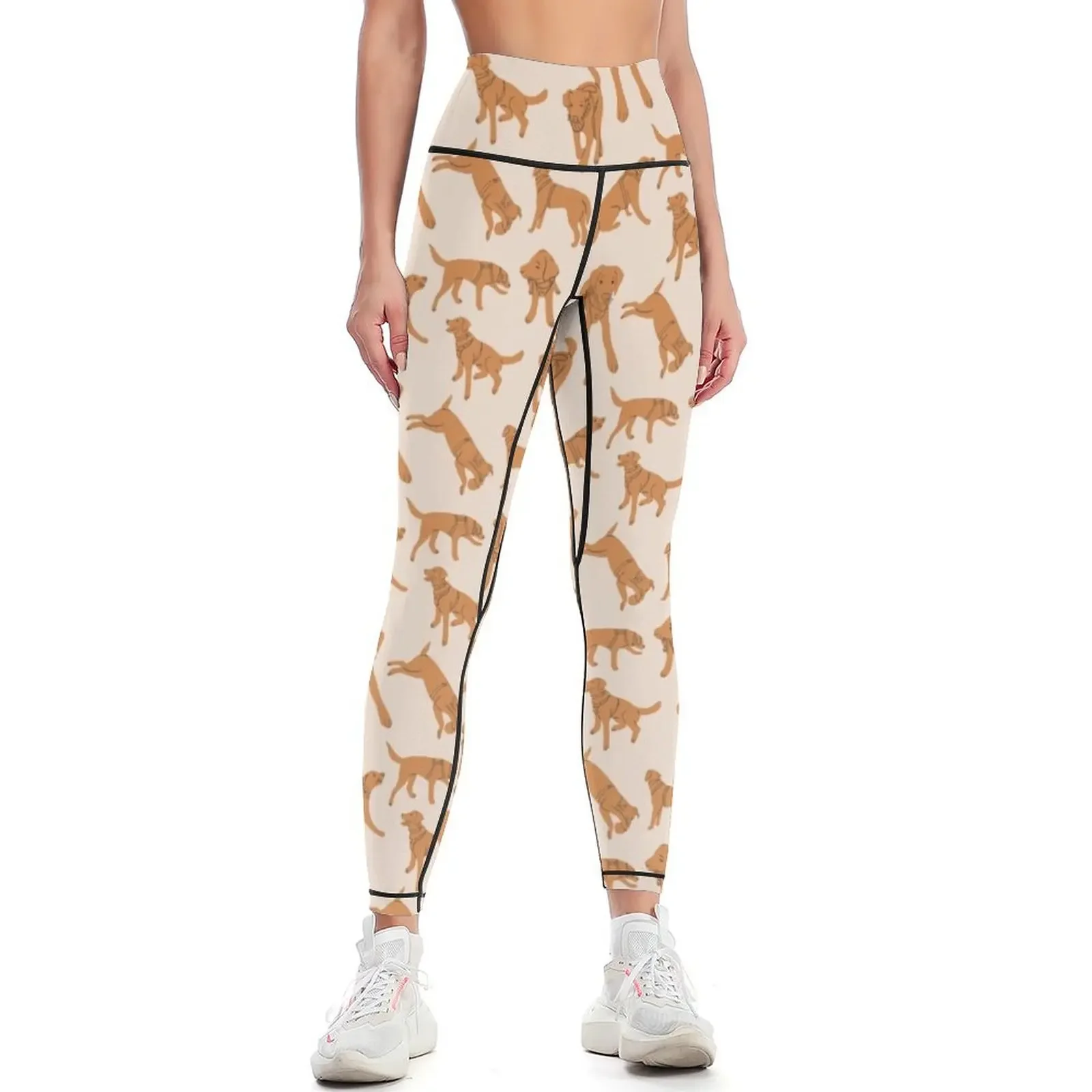 

Sweet Fox Red Labrador Pattern Leggings Clothing fitness legging gym gym top Sports female Womens Leggings