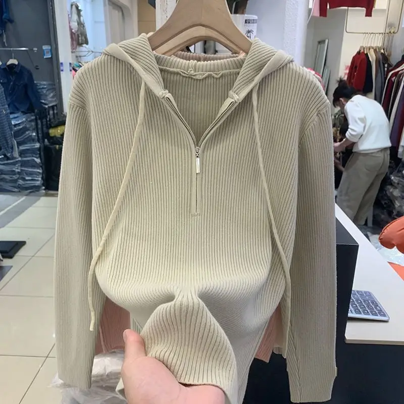 Plus Size Popularny sweter z kapturem dla kobiet Wiosna Jesień Nowy luźny sweter w jednolitym kolorze Sweter z dzianiny Modny top