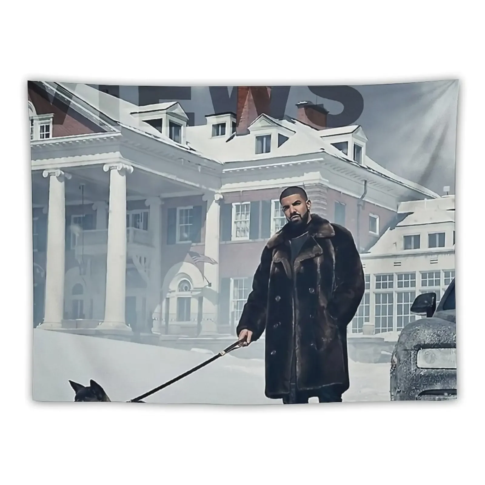 

Drake with Dog Views Wall Tapestry Decorative Wall Decoration Wall Room Decoration Aesthetic Tapestry