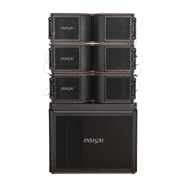 

KR210 Neodymium Magnetic Dual 10 Inch 800W Full Frequency Speaker Line Array Speakers