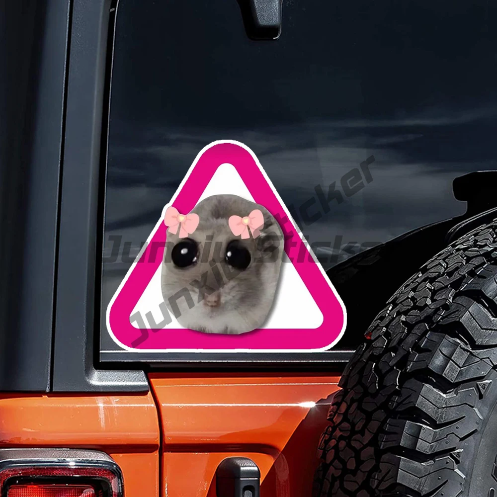 

Наклейка На Авто Начинающий Водитель, Waterproof Car Sticker Decal for Bumper,Window