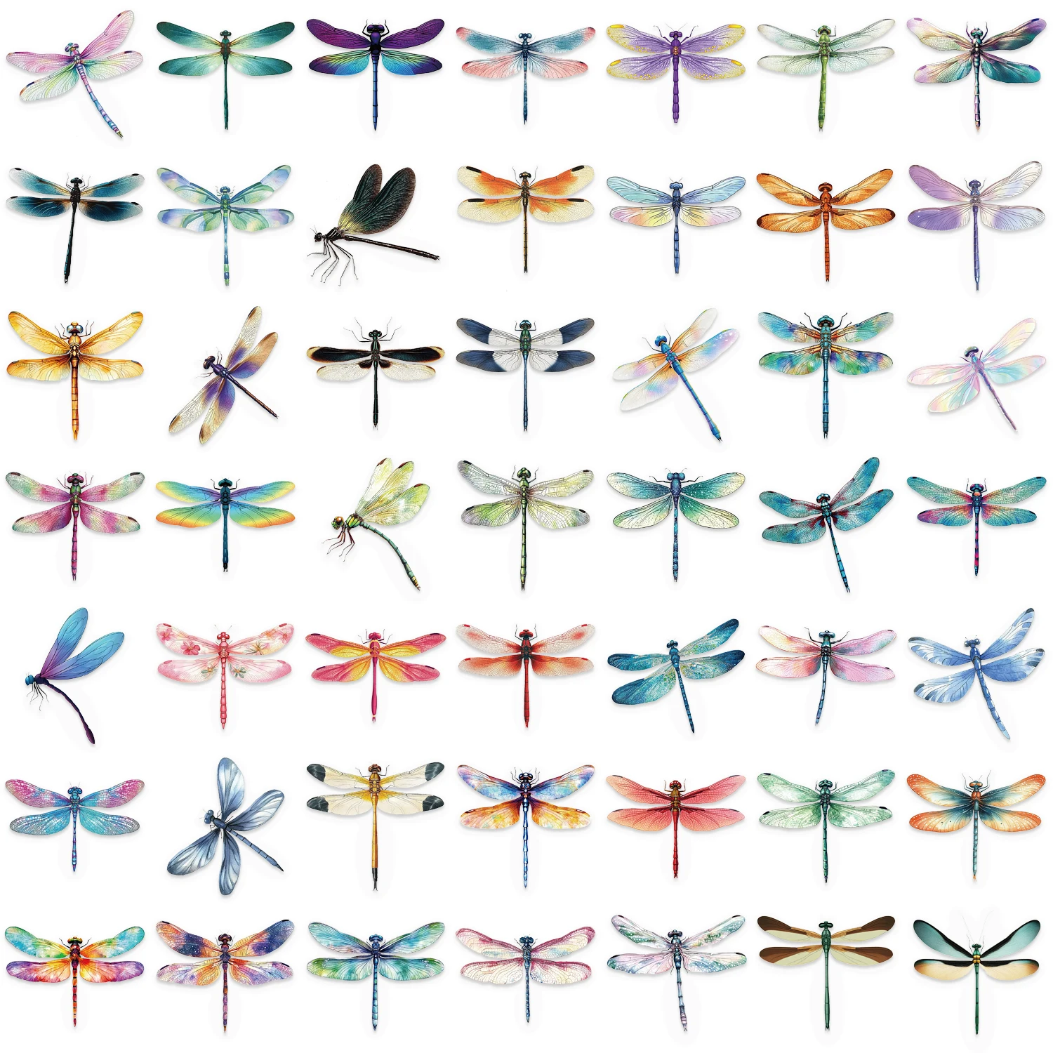 50 قطعة من ملصقات Dragonfly المقاومة للماء، ديكورات ملونة للسيارة والكمبيوتر المحمول والهاتف والأمتعة وشفافة مزدوجة من PET ﻿