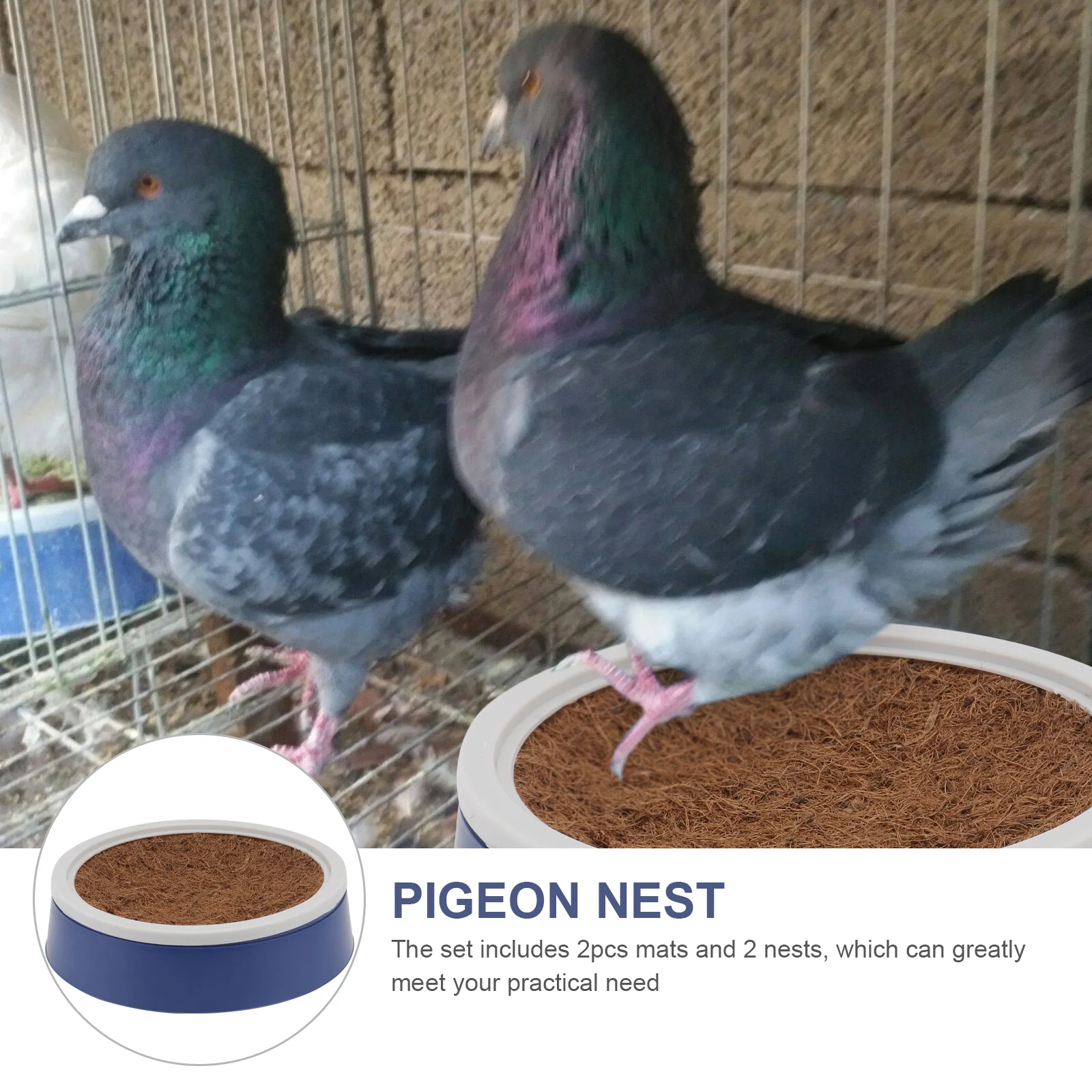 Ensemble de coussinets en fibre de coco pour accent de pigeon, accessoires pour animaux de compagnie, accent de pigeons, accent de pigeons, accent de pigeons, accent de pigeons, accent de pigeons, accent de pigeons, accent de pigeons, accent de pigeons