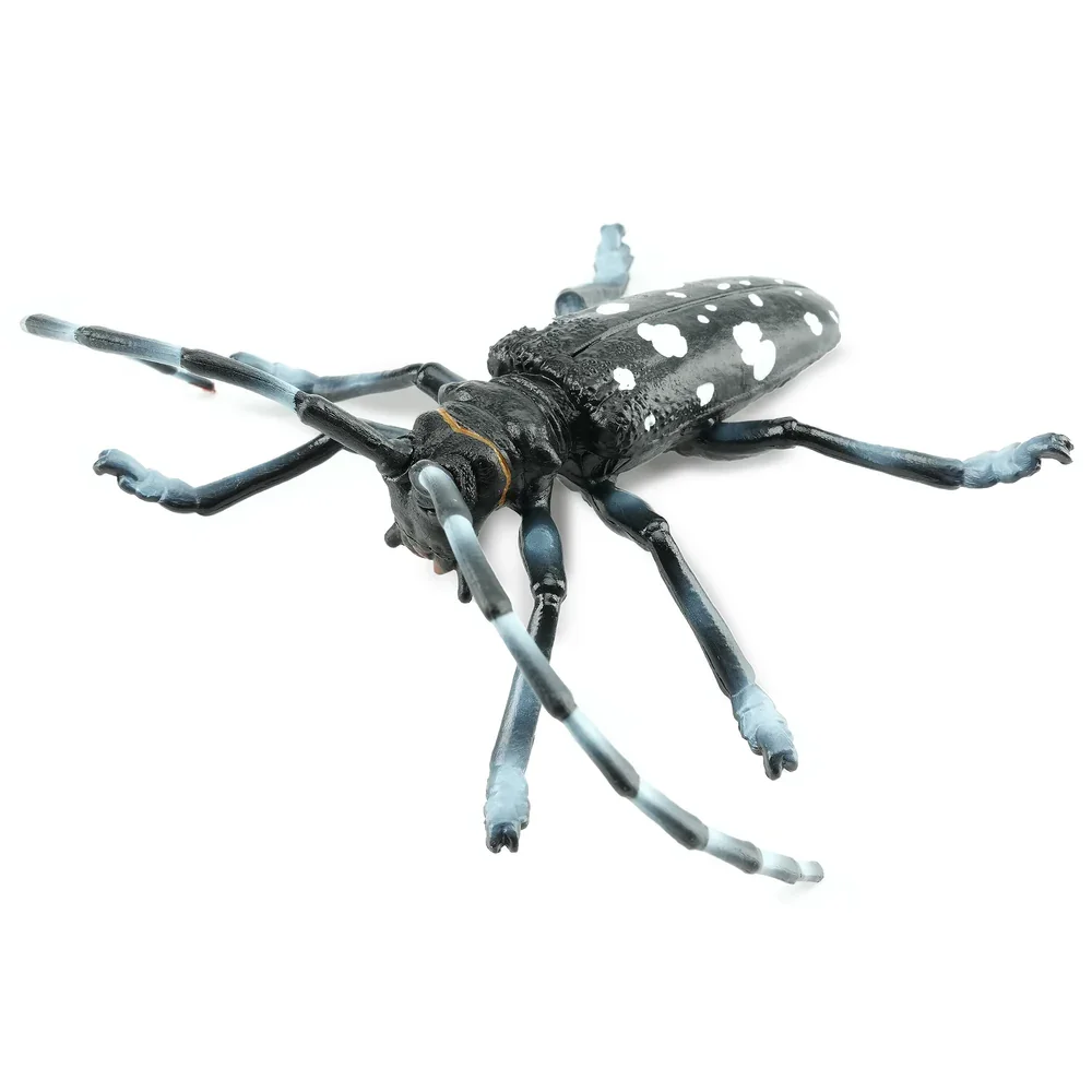Toymany simulação cítrico longhorned besouro animatoymany simular modelo brinquedo mini figuras bonecas estatuetas de ação brinquedos crianças presente