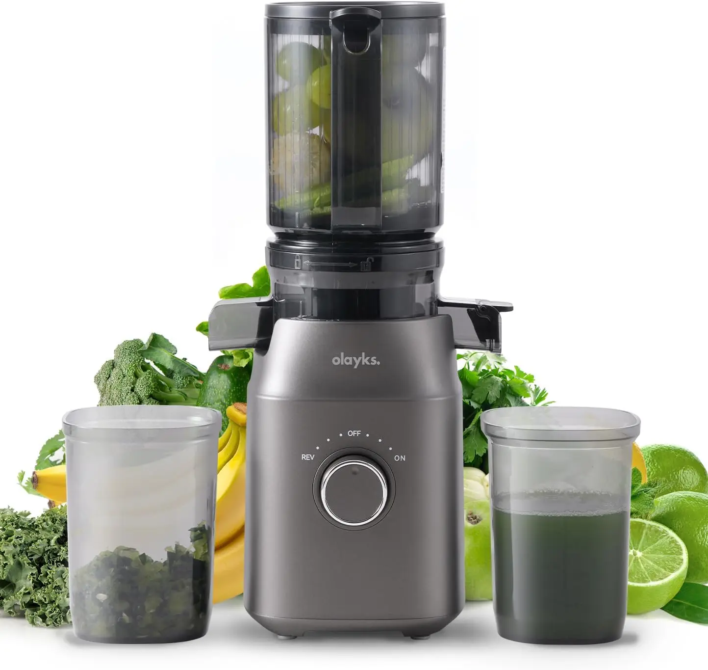 Cold Press Juicer with 4.3