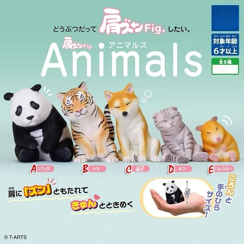 

TOMY Original 5Pcs Gashapon Animals ネコ Toys For Kids Gift Collectible Model Ornaments