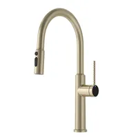 Brushed Gold Pull Out Kitchen Water Filter Tap Brass Crane Kitchen Rotation Sink Mixer 3 Way Kitchen Faucet