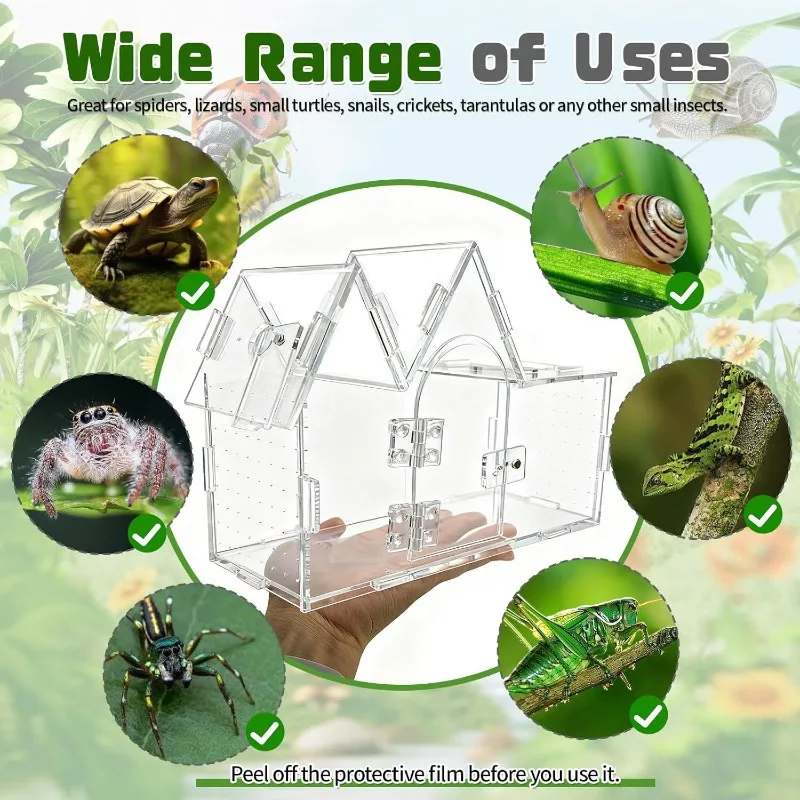 Acrylic Terrarium Transparent Jumping Spider Reptiles House Snails Tree Frog Gecko Lizard Breeding Cage Reptile Enclosures view 3