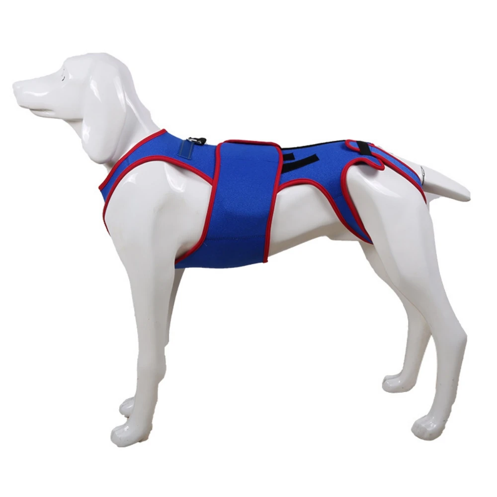 Pet Back Bracer Arthritis Surgical Recovery and Rehabilitation Dog Back Brace for Dogs with IVDD Soft and Breathable