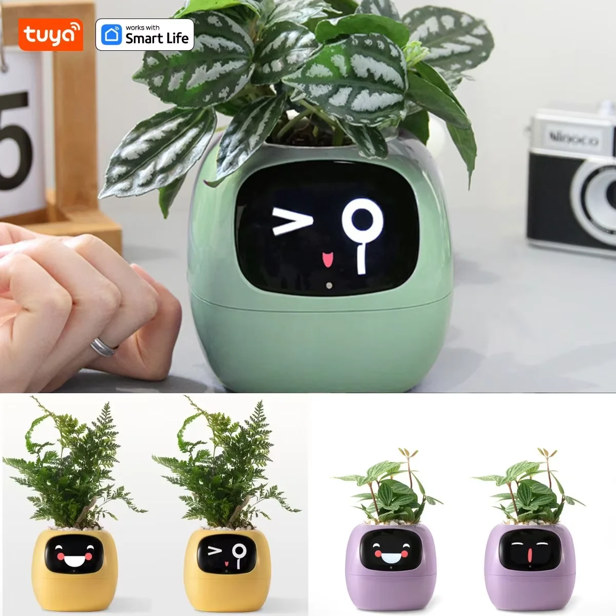 Multi Functional Cute Plant Robot IVY Rich Emojis Help You Fully Understand The Needs of Plants Make Plants More Interesting