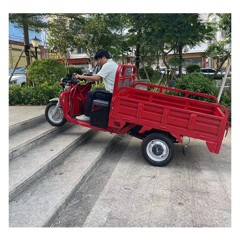 China Electric Adult Tricycle Electric Trike Electric Tricycle 2 Seat 2026