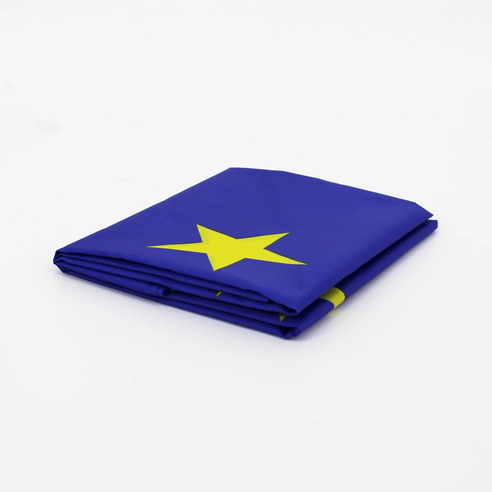 FLAGLINK Bandera Unión Europea – Decoración interior y exterior - imagen 3
