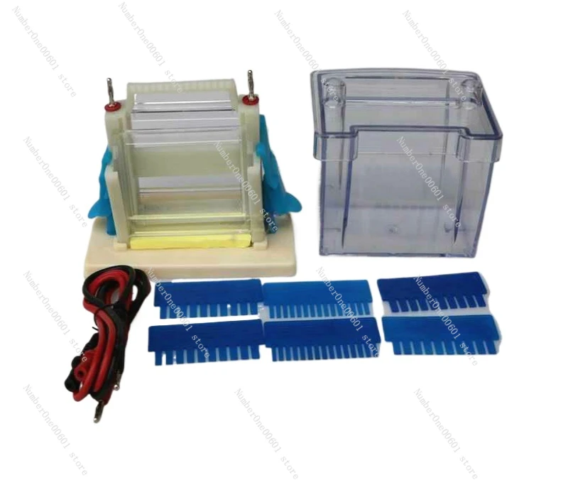 

Vertical Electrophoresis Tank High School Biology New Standard Teaching Demonstration Experimental Apparatus