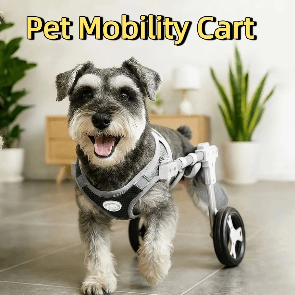 

Lightweight Aluminum Pet Mobility Cart 2/4 Wheel Mobility Detachable Dog Wheelchair Four-Wheel Mobility Adjustable