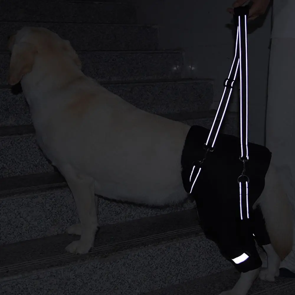 

Поддержка бедер для ног, шлейка для подъема собаки, черная прочная ручка, поддержка заднего ног собаки, светоотражающая полоса, дышащие ремни для поддержки ходьбы