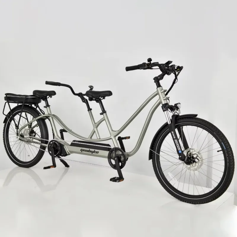 Factory high-quality popular new leisure double-seat sightseeing bicycle electric double bicycle