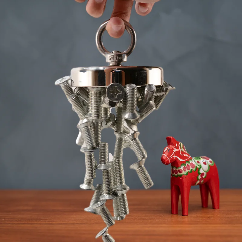 مجموعة مغناطيس الصيد D60MM قطعة واحدة، مغناطيس النيوديميوم، مثالية لجمع المعادن والمطبخ والإنقاذ في الهواء الطلق وصيد الأسماك #6