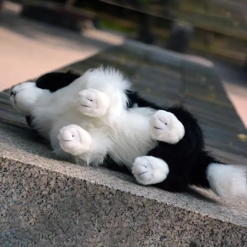 보더 콜리 봉제 인형 11.8인치 어린이 봉제 인형 소년과 소녀를 위한 완벽한 선물