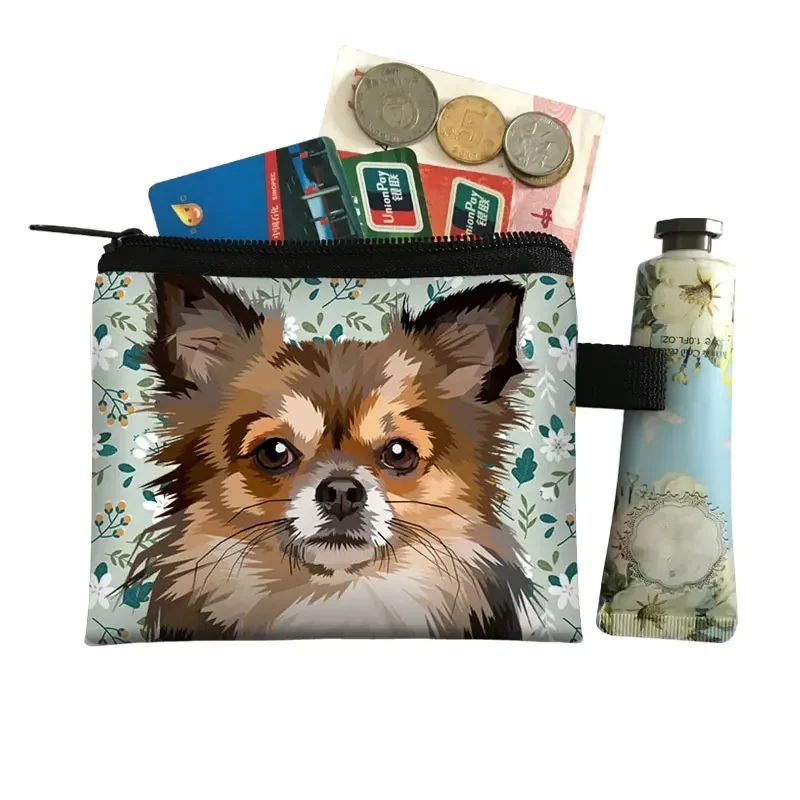 Monedero con estampado de perro Chihuahua para niñas, Mini billetera para mujer, bolso de mano, Mini bolsas de joyería, regalo