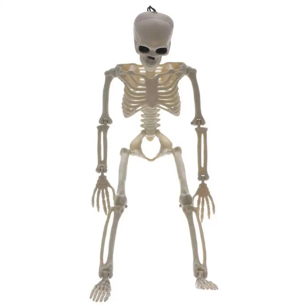 Accessories 40CM Learn Aid Flexible Car Ornaments Anatomy Skeleton People Active Model Car Decoration Human Skeleton Model 4