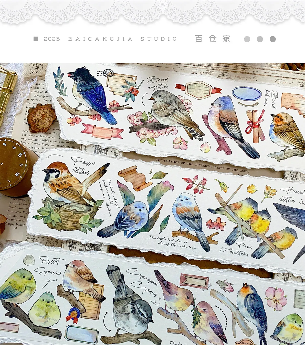 

Washi Tape & PET Stickers - Vintage Bird Collection for Versatile Decoration, Journaling, Scrapbooking Greeting Card Making
