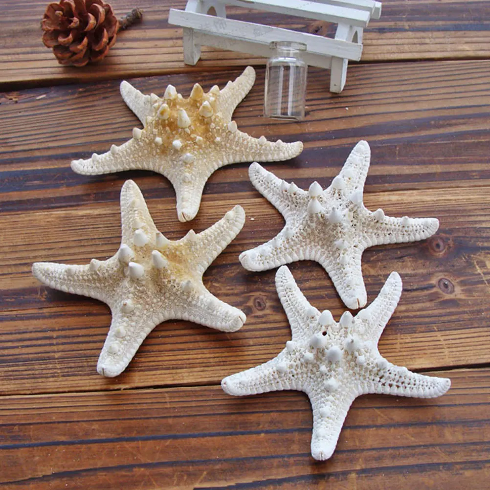 

8Pcs Natural Sea Star Ornaments Beach Party Table Scatter Home Decoration 4-7Cm White Random Style Sea Star Ornaments