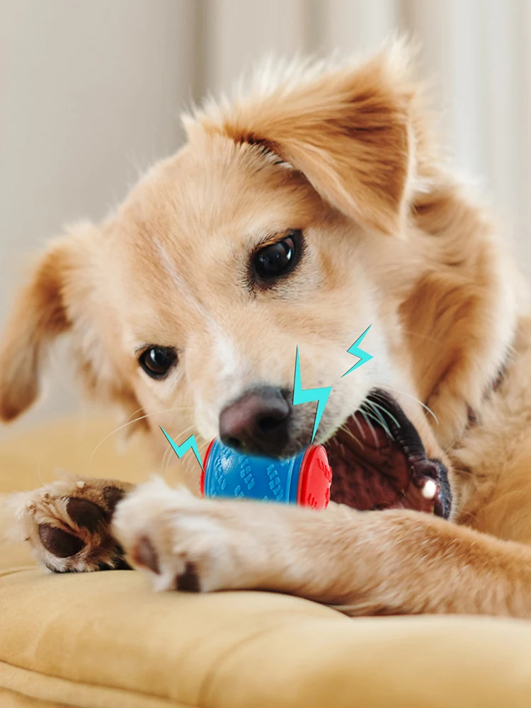 6 Stuks Hond Piepende Ballen Speelgoed Interactieve Zachte TPR Honden Kauwspeeltje voor Huisdier Tanden Reinigen Bijtweerstand hond accessoires - afbeelding 2