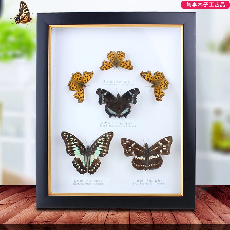 

Real butterfly specimen photo frame 22 * 27cm handicraft ornaments collection Birthday wedding gifts home dec living room decor