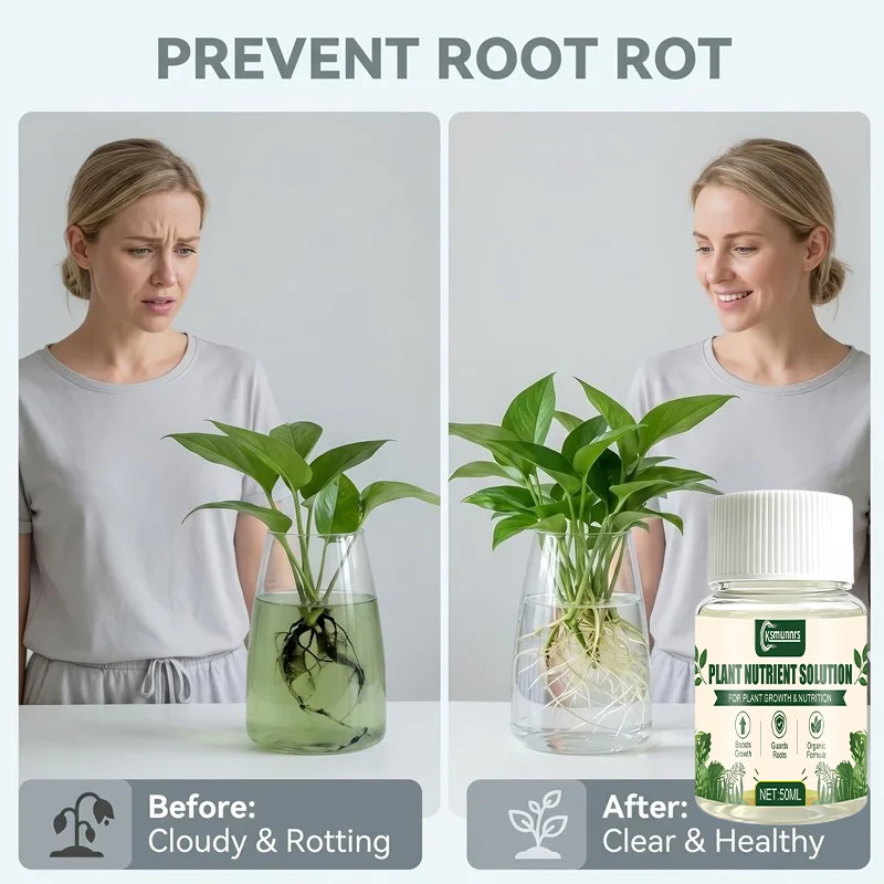 Hydroponic Plant Nutrient Solution for Clear Water Quality Root Protection Growth Promotion And Extended Viewing