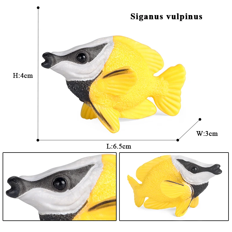Oenux Sea Life Modell Clownfisch Lachs Bass Marine Ozean Tier Actionfiguren PVC Hochwertige Bildung Miniatur Strand Kinderspielzeug – Detail 4
