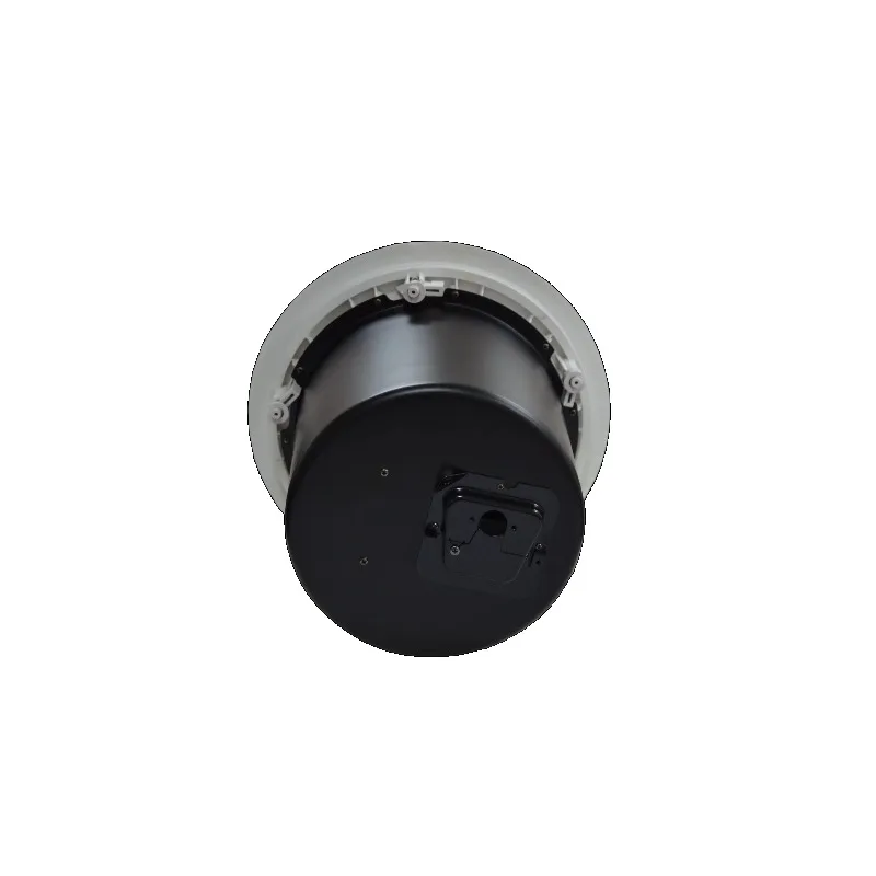 Passive Metal Ceiling Subwoofer, High Power Surround Stereo Speaker for Home Theater Commercial Indoor Audio
