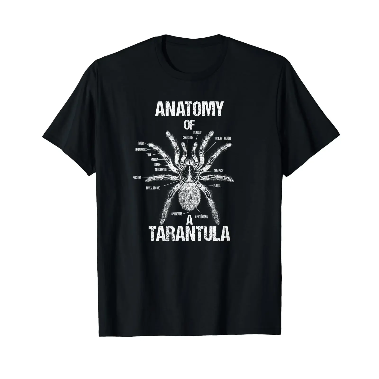 AZT Science Geek Boutique Anatomy of a Tarantula Arachnid Enthusiast White T Shirt Small Black vintage Washed Stylish Soft