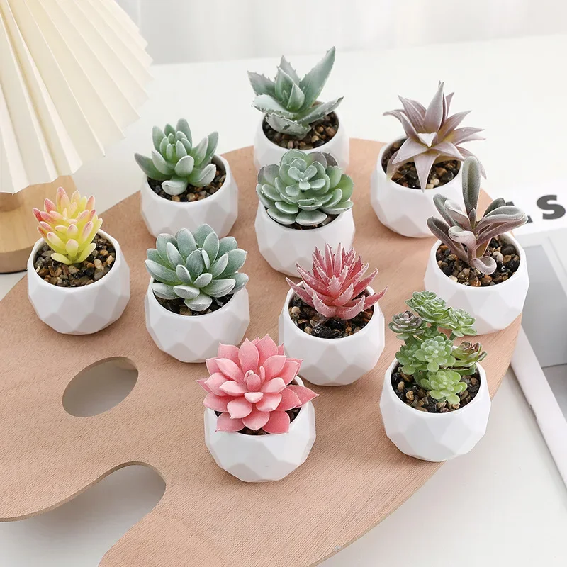 

Mini Artificial Succulent Plants Set Realistic Fake Cactus Bonsai for Indoor Home Desktop Low Maintenance Lifelike Ornament