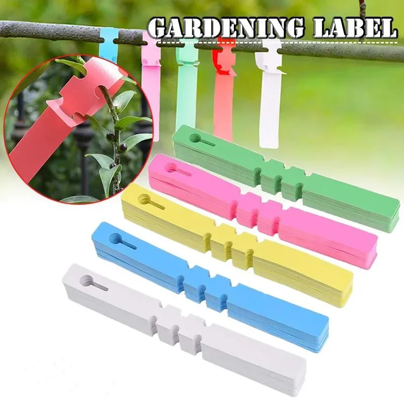 Plant Markers for Nursery Flowers, Hanging Tags, Label Tools, Garden Supply, 20x2cm, 3 Pcs, 10  20Pcs