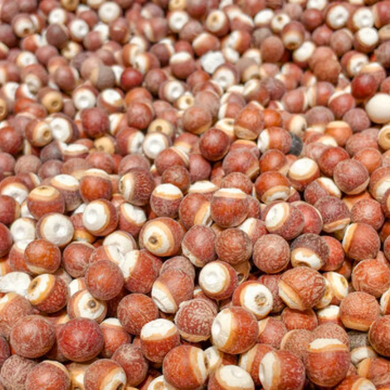 Hobbywing RC Car 120A Program Card LED Program Box 2C 86020010 Programm Card for XERUN and EZRUN Series Car Brushless ESC