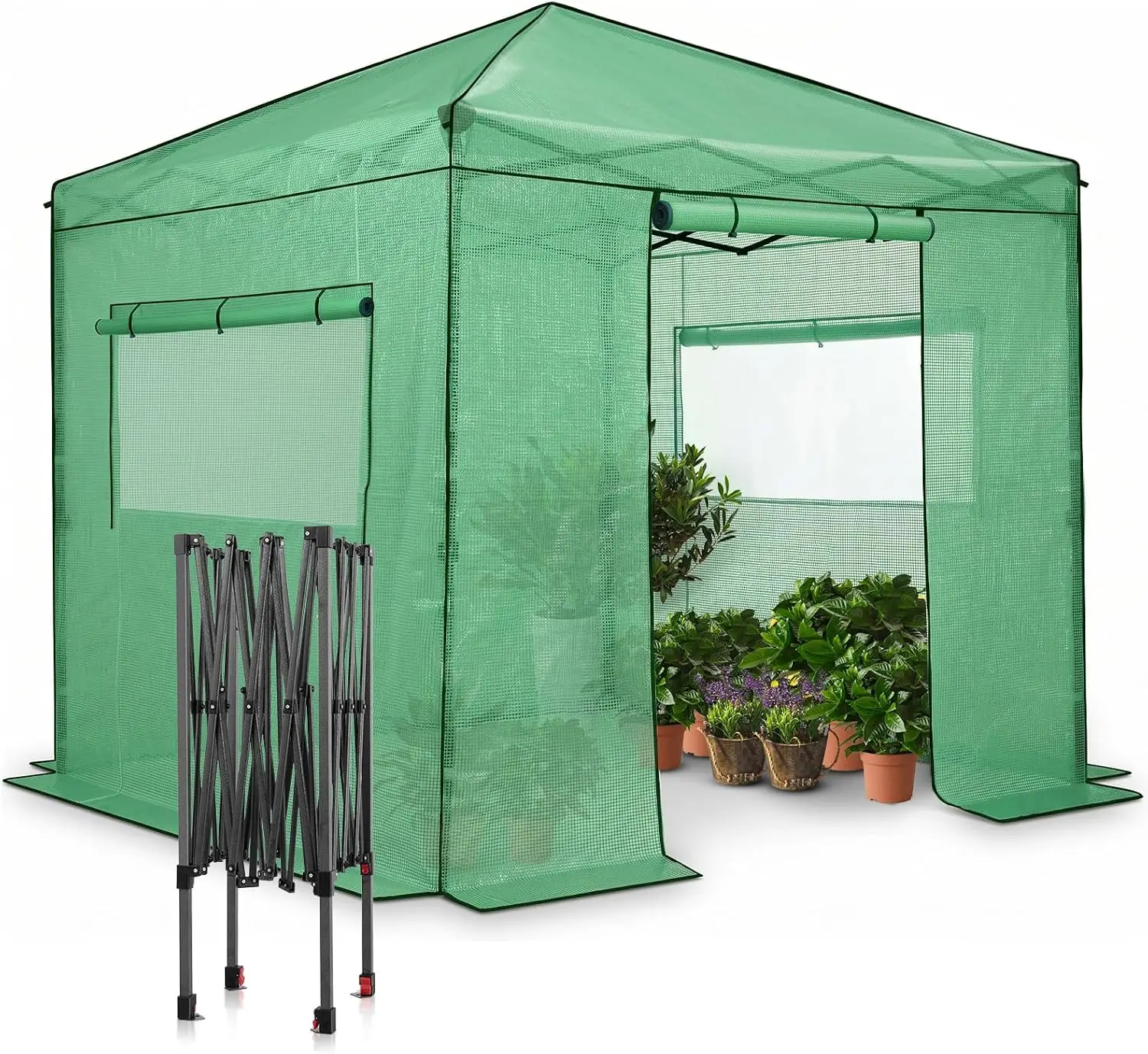 Pop-Up Greenhouse in 8x8 Size with Simple Setup, Clear and Green