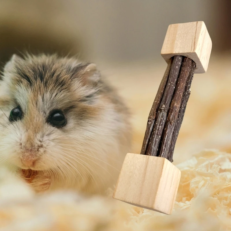 Hamster Branch Chewing Sticks for Small Pet Dental Health Birdcage Teething Toy