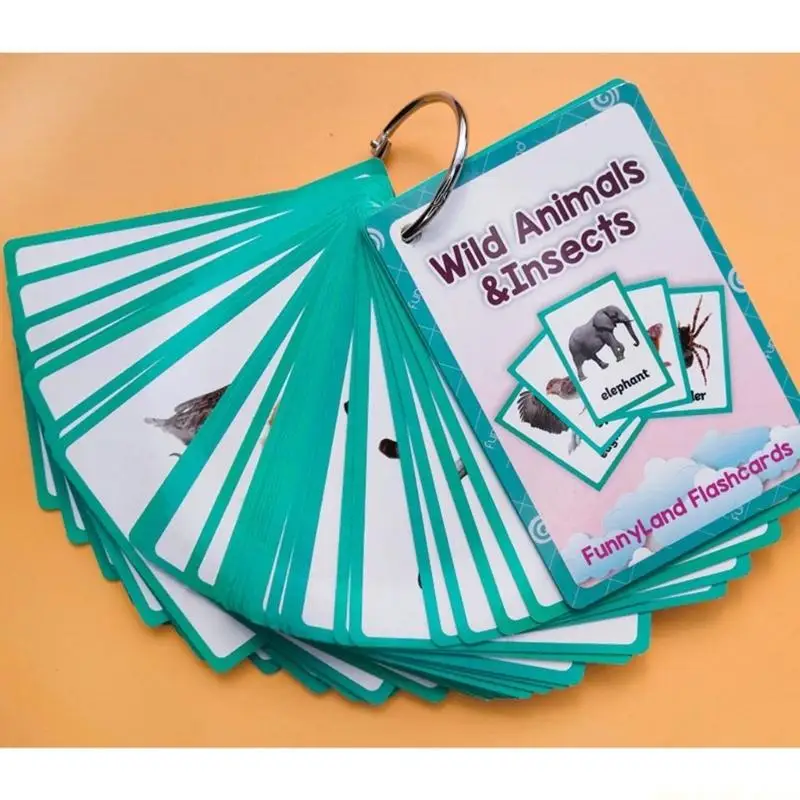 Educational Animal Bugs Flashcards For Children Language Development And Study